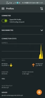 Screenshot_20200918_113113_net.openvpn.openvpn.webp