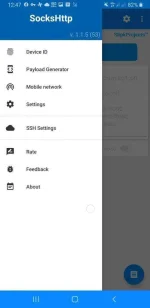 Screenshot_20200922-004755_SocksHttp.webp