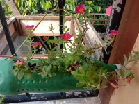 IMG_20200922_082153.webp