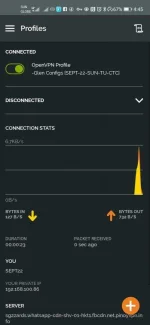 Screenshot_20200922_164546_net.openvpn.openvpn.webp
