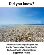 FB_IMG_1601129539418.webp