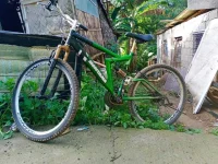 received_372345220450395.webp