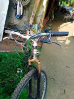 received_1025284444564275.webp