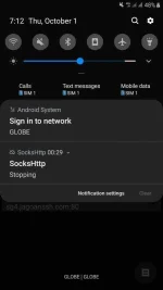 Screenshot_20201001-191235_SocksHttp.webp