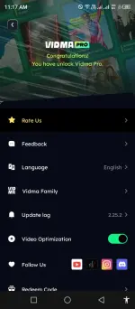 Vidma (2).webp