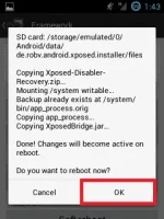 5.webp