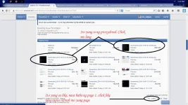 ss1243.webp