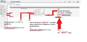 GUI NUI.webp