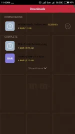 Screenshot_2015-11-06-11-42-23_com.android.providers.downloads.ui.webp