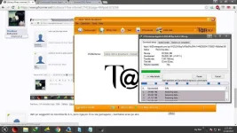 gsurf2.webp