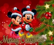IMG_39502649051497.webp