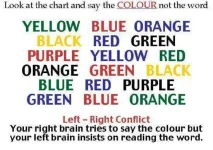 brain.webp