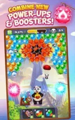 Panda-Pop-3.webp Panda-Pop-3.webp