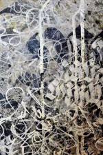 12963564_10153797869458248_4500872852550509639_n.webp