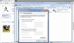 lan.webp