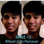 noah.webp