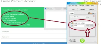 5.webp