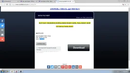 213213.webp