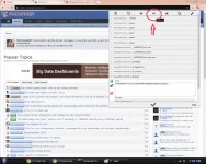 11.webp