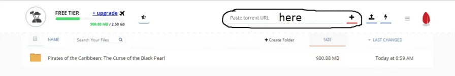 torrent.webp torrent.webp