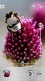 guioq3.webp guioq3.webp