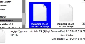2343242222.webp