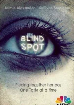 Blindspot1.webp