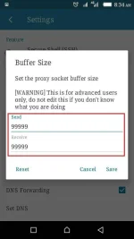 3.webp