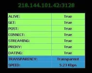nepg.webp
