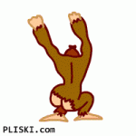 un990y.gif