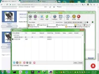 sockscap64.webp