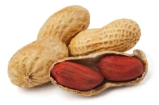 nut-005.webp