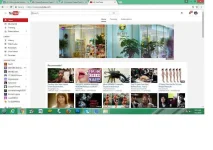 dodz11.webp