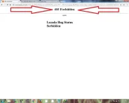 lazada bug 1.webp