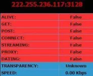 5.webp