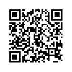 11.webp