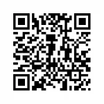 17.webp