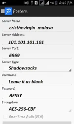 13.webp