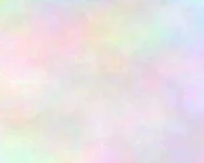 images (12).webp
