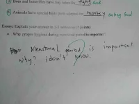 20638975_1635680633142698_5002533379112589914_n.webp