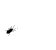 FLY.gif FLY.gif