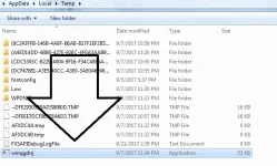 virus 2.webp