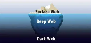 surfacae-web.webp