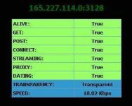 5.webp