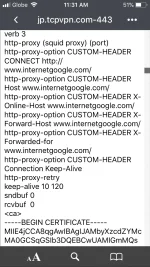 50794FD5-DBBF-4A02-91AB-E40F6DC7C069.webp