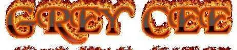 21558856_224924134706048_7599984388336736362_n.webp