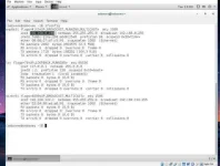 18.webp