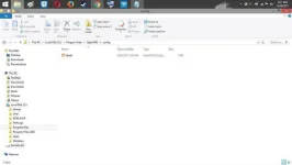 21766688_1660836953947375_6767090013159559298_n.webp