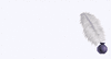 269304_downloadfile_1.gif