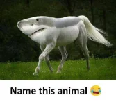 FB_IMG_1507476054217.webp